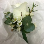 IMG_1927