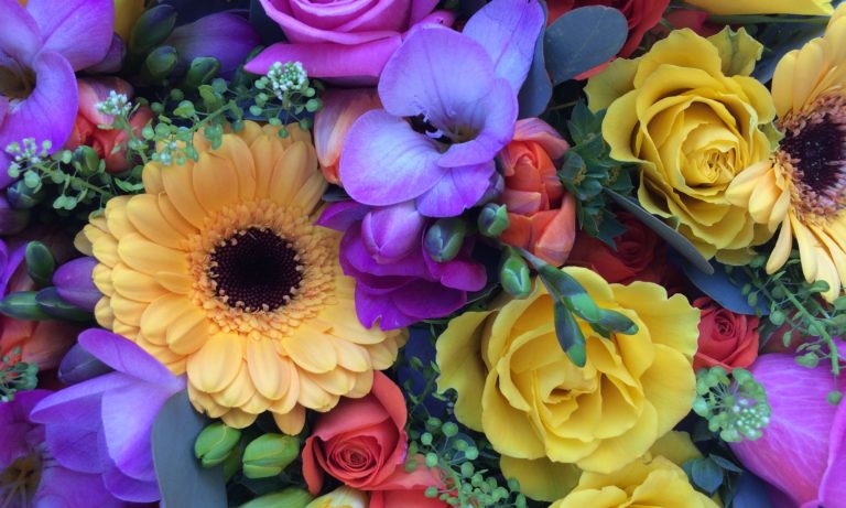 bouquet of brightly coloured flowers
