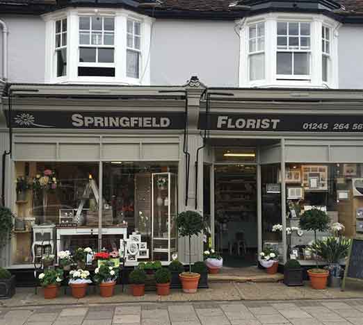 Springield Florist, Moulsham Street, Cheslmford